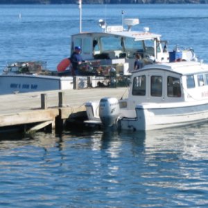 Trying to make friends with a Lobsterman