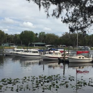 Hontoon State Park