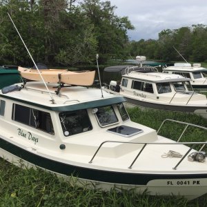Weed anchoring for lunch