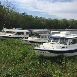 Weed Anchoring.