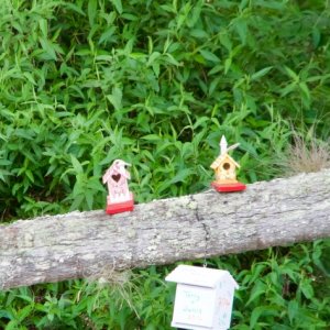 Bird houses on Blue Creek.