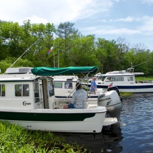 Weed anchoring