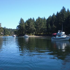 Media 'Rock-C, Two Bears, In Cahoots, survive the cut.' in album 'Sunset, Clam Bay, Thetis Island.'