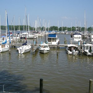 DSCN0094