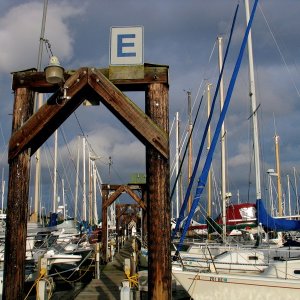Media 'Friday Harbor Crowd' in album 'Colin\'s Photos, Christmas Cruise'