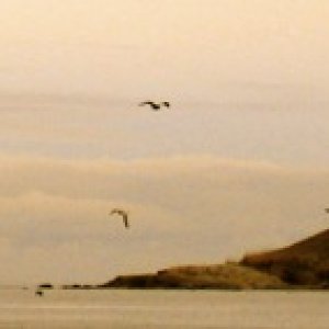 Media 'Farewell, San Juan Islands' in album 'Colin\'s Photos, Christmas Cruise'