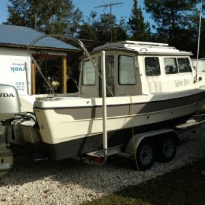 Profile View
