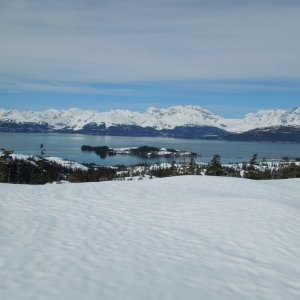 Above Golden, Port Wells, Prince William Sound in early June