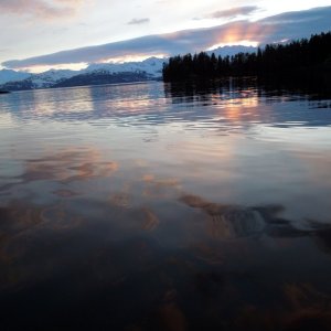 Golden Prince Willaim Sound