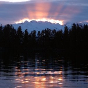 Golden Prince Willaim Sound