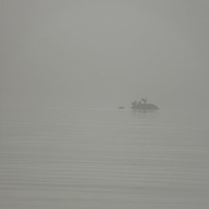 DSCN0320