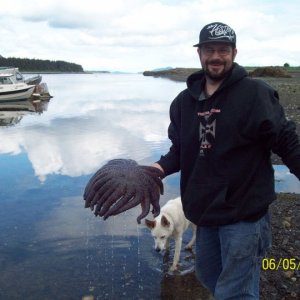Media 'C Dory at the dock at our cabin on Horse Island Juneau, AK' in album 'The 1st King of the year June 2011'