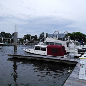Media 'On the Ashley River, just off the ICW south west of Charleston, SC' in album 'Freedom is amused..parked at a farm stay B&B'