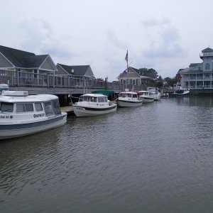 Media 'During the James River cruise, C-Brats docked in quaint Smithfield, VA, home of the oldest ham in the US.' in album 'Freedom is amused..parked at a farm stay B&B'