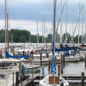 LangfordMarina3