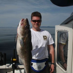 Maiden Voyage - Gray Cod