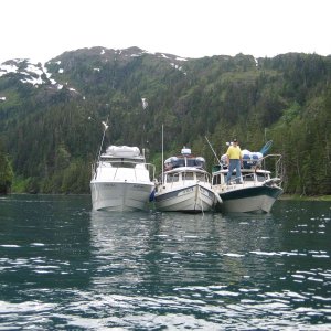Flotilla