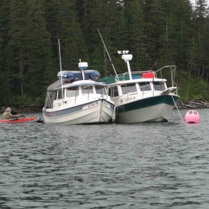 Surprise Cove