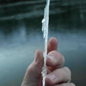 Ice formed in saltwater cove overnight, all of main Bay (large area of water) also iced over.  I did not know that saltwater iced over at 20 degree overnight temps, especially in a large body of water