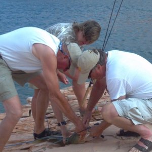 Media 'It took three people to tackle the big one...' in album 'Helping hands assist fixing See-Saw's canvas'