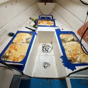 Spray in foam before removal