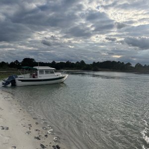 Media 'beach' in album 'Wilmington NC'