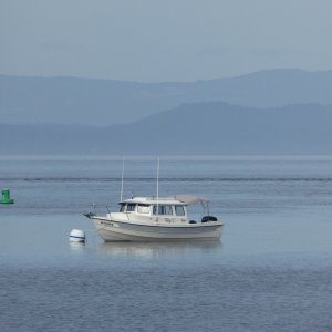 With favorable tides and flat calm water, I made it to Shallow Bay in about an hour, earlier than expected. Fortunately by 8:30 AM buoys were already beginning to free up, so I grabbed this first one, although not ideal at the entrance to the bay.