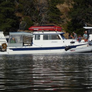 A Tom Cat among those at the dock