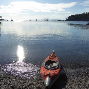 Media 'Back at Shallow Bay, 4.5 miles total paddling from Shallow Bay to Fox Cove to Fossil Bay and Echo Bay.' in album 'Leaving Friday Harbor Sunday morning in flat calm water.'