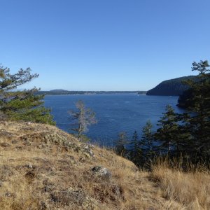 View from top of hill looking south towards Eagle Harbor