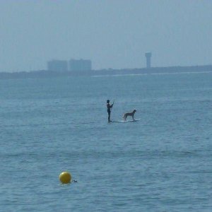 A man and his best friend in the Gulf behind The Mohawk