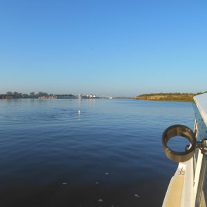Hard to see, but this is an albino dolphin in the ICW.  I found out that he has his own web site.  "Calcasieu River dolphin" or something like that.