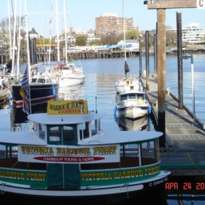 24 April: Another day
in Victoria. R-Matey's 
now facing the other way.