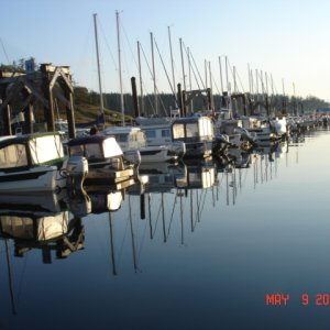 9 May Friday Harbor
Sleeping C-Dorys