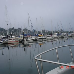 Bellingham CBGT
C-Dorys