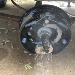 Fresh water rinse spray