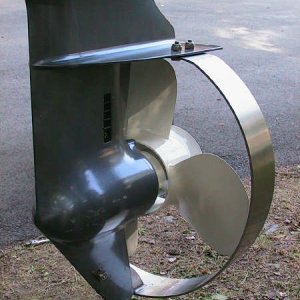 rear view.jpg
