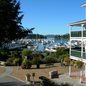 View of harbor from Quarryman Hall