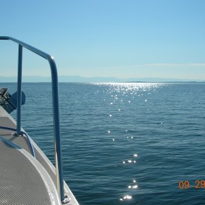 So much water..so little time.