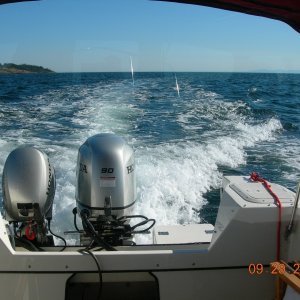 More tide rips