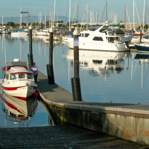 Back in saltwater