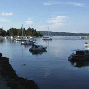 Pirates Cove at Low Tide