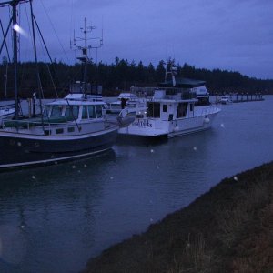 Neat boats.