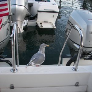 Where should I Christen this boat?