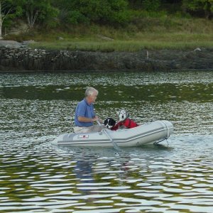 Returning from shore