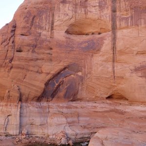 Iceberg Canyon Monday morning 9-23-13 Secret of Life was tied to a tree and a rock across from everyone else