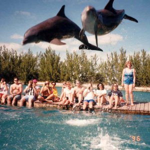 Media 'Ocean Guides' in album 'Ocean Guides'