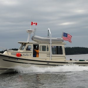 Kingfisher II  - Looking Good