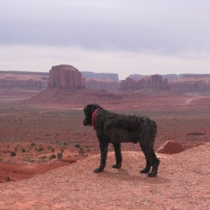Media 'Bowie at The Valley of the Gods' in album 'Lake Powell Gathereing 2003'