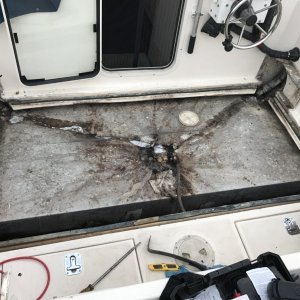Quite a bit of mold and mildew under the cockpit floor